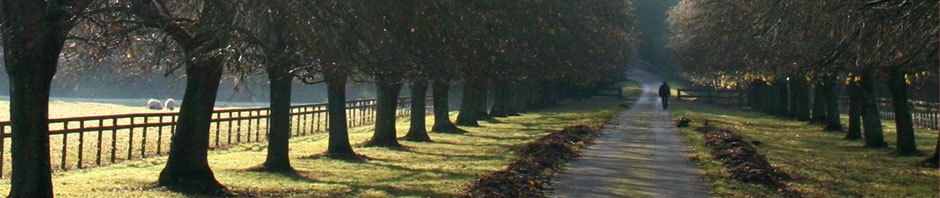 Arborist Tree On Demand